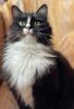 Margo (36)